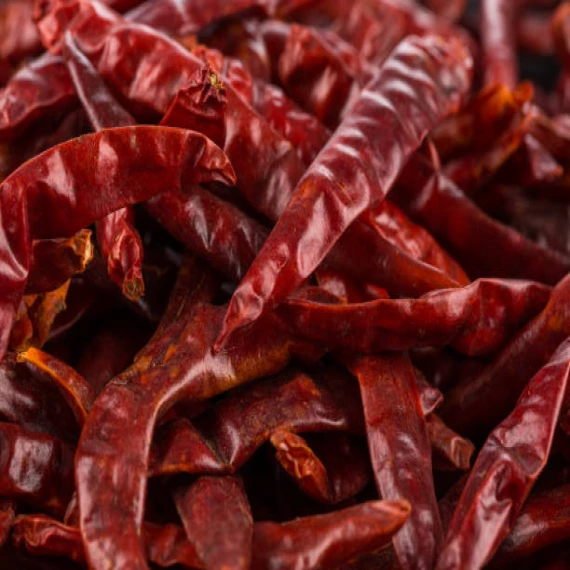 Guntur Red Chilli